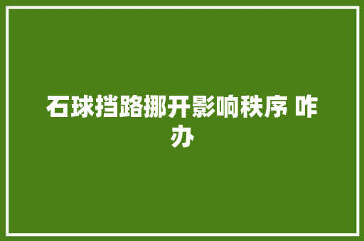 石球挡路挪开影响秩序 咋办