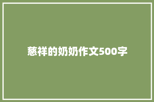 慈祥的奶奶作文500字