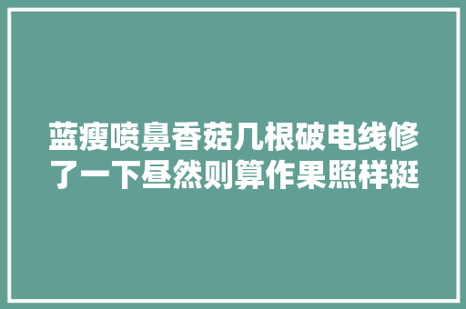 蓝瘦喷鼻香菇几根破电线修了一下昼然则算作果照样挺欣慰的
