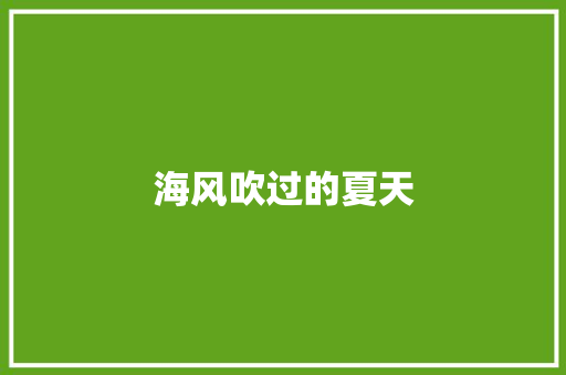 海风吹过的夏天 休闲娱乐