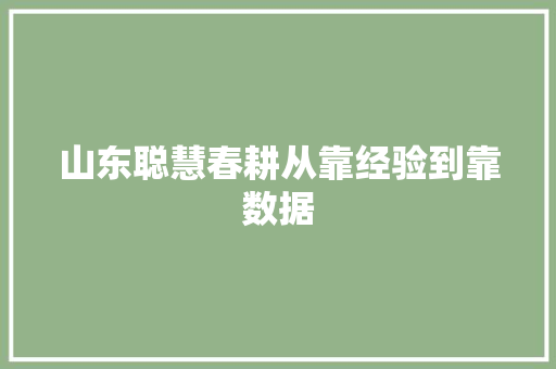 山东聪慧春耕从靠经验到靠数据