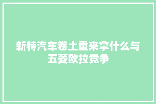 新特汽车卷土重来拿什么与五菱欧拉竞争