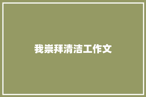 我崇拜清洁工作文