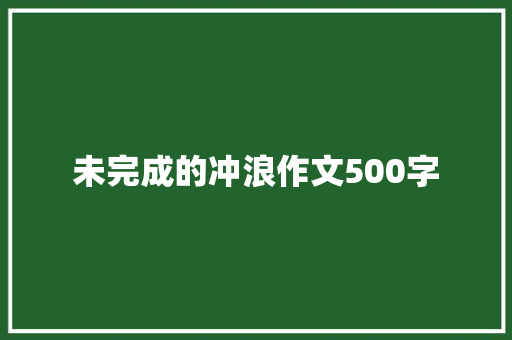 未完成的冲浪作文500字