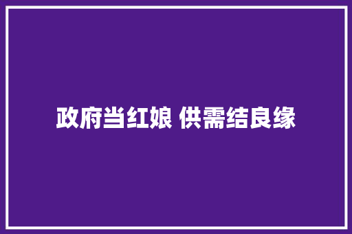 政府当红娘 供需结良缘
