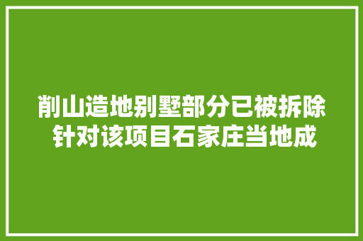 削山造地别墅部分已被拆除 针对该项目石家庄当地成立联合查询访问组 汽车知识