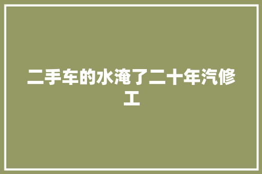 二手车的水淹了二十年汽修工