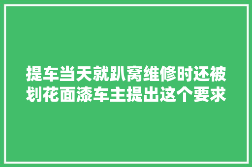 提车当天就趴窝维修时还被划花面漆车主提出这个要求
