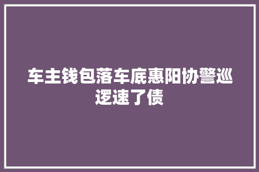 车主钱包落车底惠阳协警巡逻速了债
