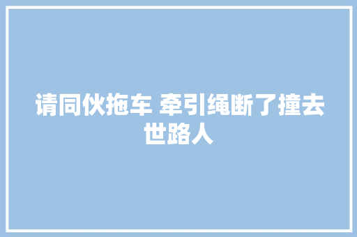 请同伙拖车 牵引绳断了撞去世路人