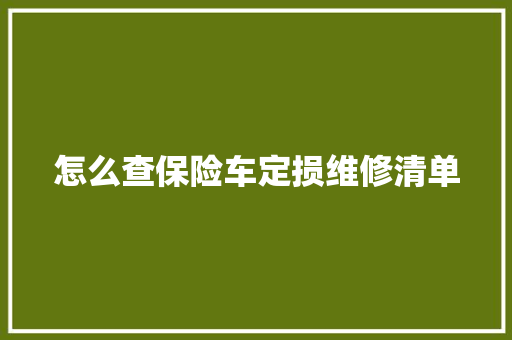 怎么查保险车定损维修清单