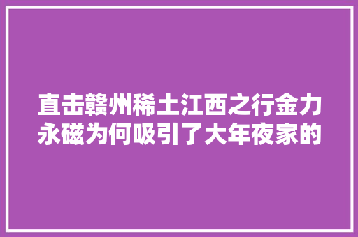 直击赣州稀土江西之行金力永磁为何吸引了大年夜家的眼力