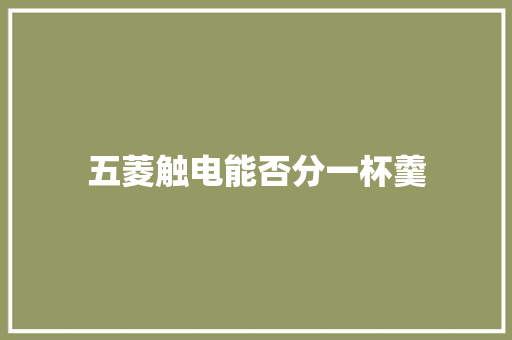 五菱触电能否分一杯羹