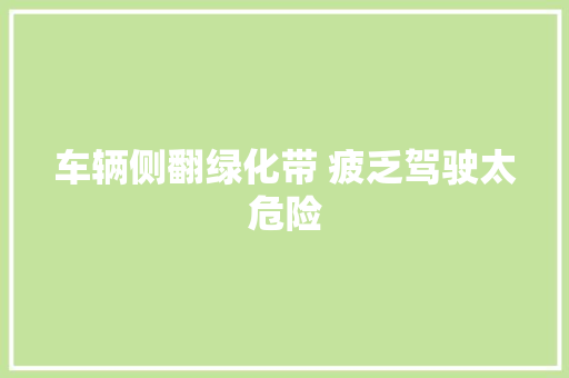 车辆侧翻绿化带 疲乏驾驶太危险