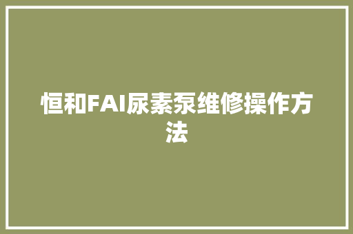 恒和FAI尿素泵维修操作方法