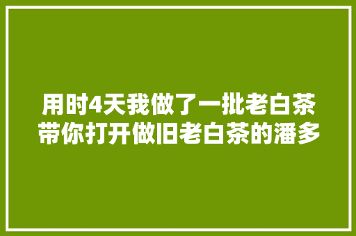 用时4天我做了一批老白茶带你打开做旧老白茶的潘多拉