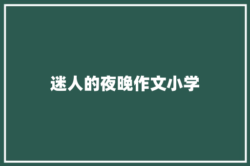 迷人的夜晚作文小学