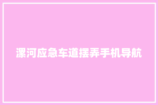 漯河应急车道摆弄手机导航