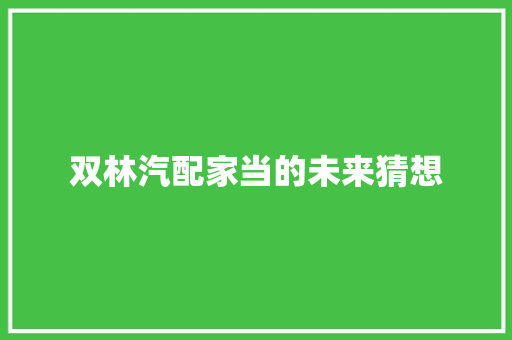 双林汽配家当的未来猜想