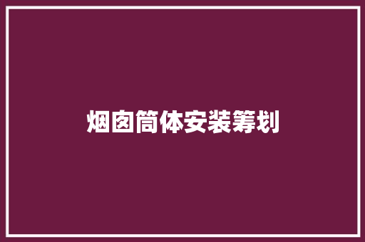烟囱筒体安装筹划