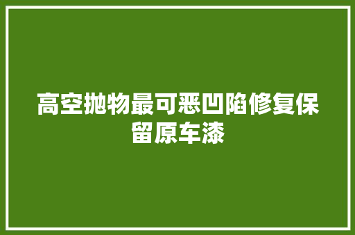 高空抛物最可恶凹陷修复保留原车漆