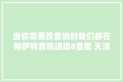 当你需要改音响时我们都在帕萨特音响进级8音度 天津塘沽羽声