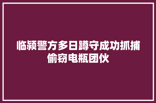 临颍警方多日蹲守成功抓捕偷窃电瓶团伙