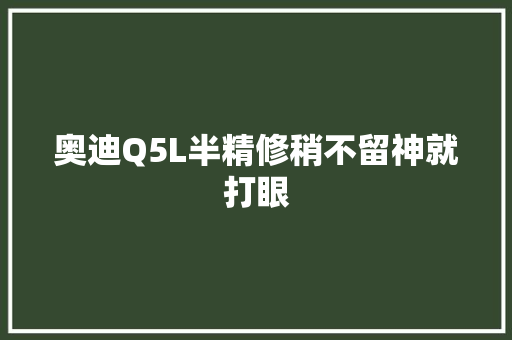 奥迪Q5L半精修稍不留神就打眼
