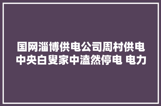 国网淄博供电公司周村供电中央白叟家中溘然停电 电力员工上门做事