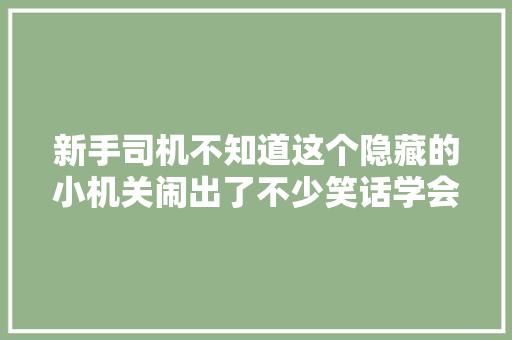 新手司机不知道这个隐藏的小机关闹出了不少笑话学会不吃亏
