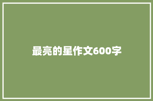 最亮的星作文600字