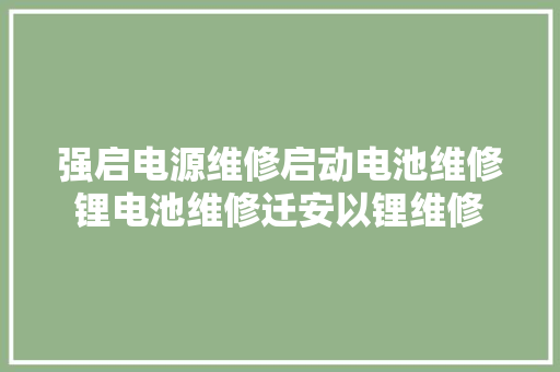 强启电源维修启动电池维修锂电池维修迁安以锂维修