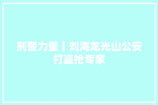刑警力量丨刘海龙光山公安打盗抢专家
