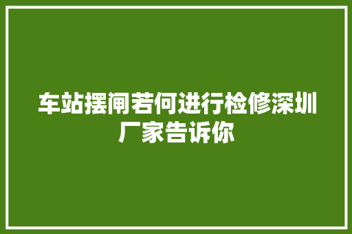 车站摆闸若何进行检修深圳厂家告诉你