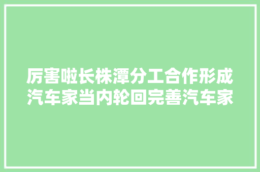 厉害啦长株潭分工合作形成汽车家当内轮回完善汽车家当链