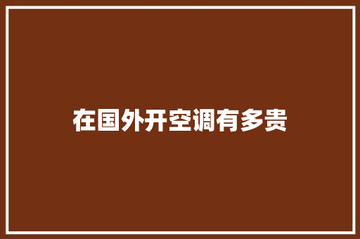 在国外开空调有多贵