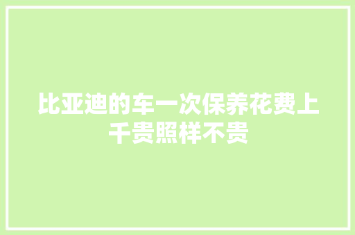 比亚迪的车一次保养花费上千贵照样不贵
