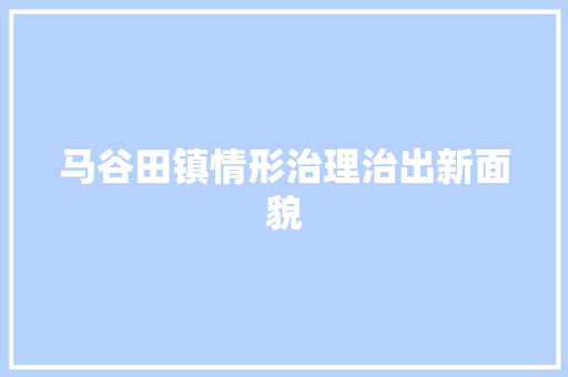 马谷田镇情形治理治出新面貌