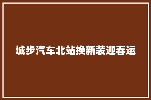 城步汽车北站换新装迎春运