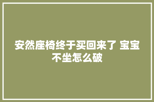 安然座椅终于买回来了 宝宝不坐怎么破