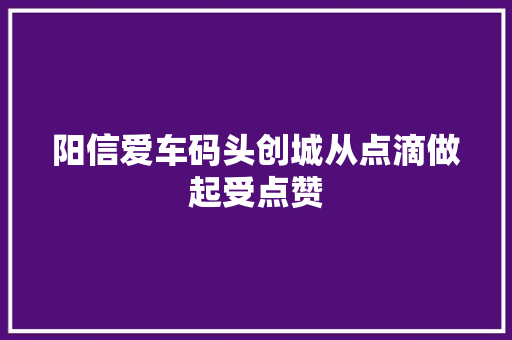阳信爱车码头创城从点滴做起受点赞