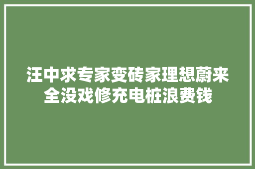 汪中求专家变砖家理想蔚来全没戏修充电桩浪费钱