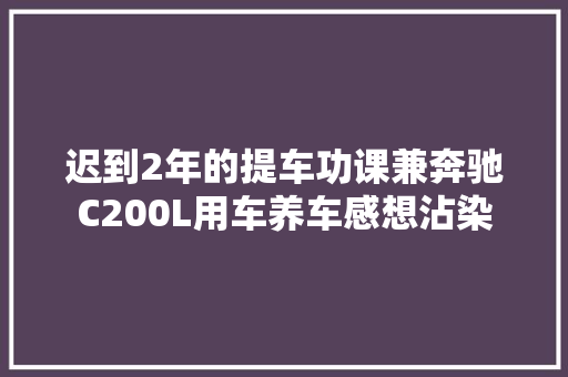 迟到2年的提车功课兼奔驰C200L用车养车感想沾染