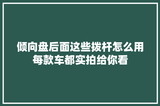倾向盘后面这些拨杆怎么用每款车都实拍给你看