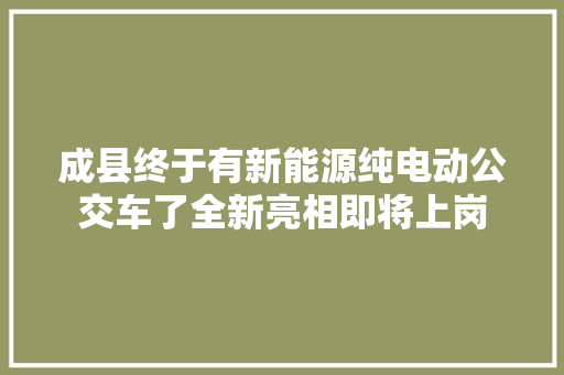 成县终于有新能源纯电动公交车了全新亮相即将上岗