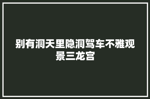 别有洞天里隐洞驾车不雅观景三龙宫