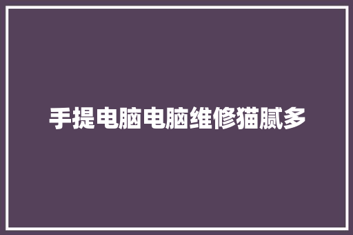 手提电脑电脑维修猫腻多