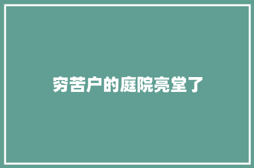 穷苦户的庭院亮堂了