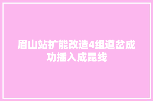 眉山站扩能改造4组道岔成功插入成昆线