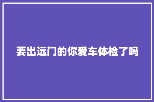 要出远门的你爱车体检了吗